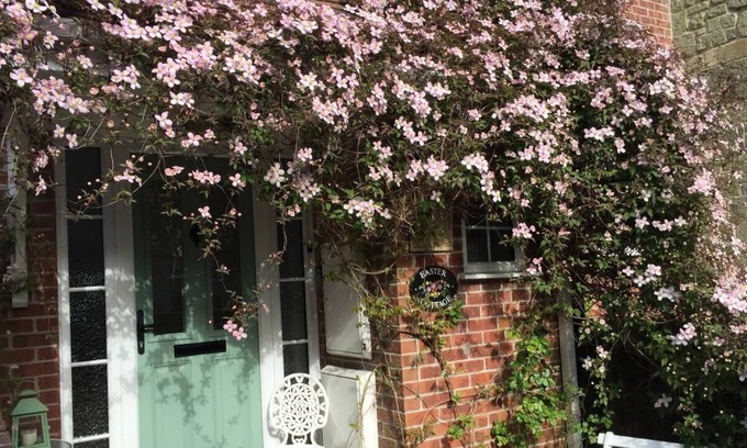 Shaftesbury House | PRETTY COTTAGE IN THE HEART OF SHAFTESBURY WITH PARKING