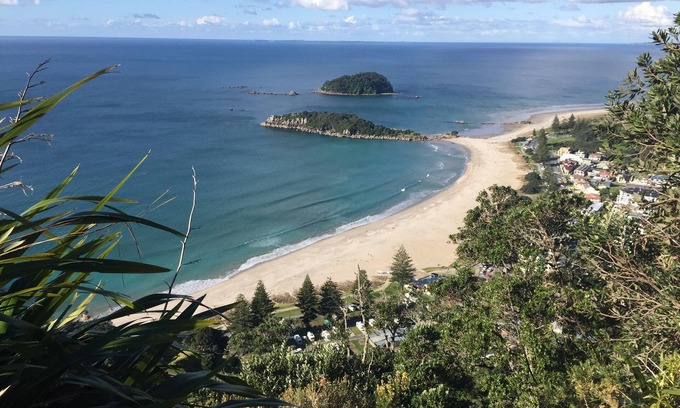 Pyes Pa House | Private haven for playful rest, pool, 3 unique dwellings, suits 12 guests