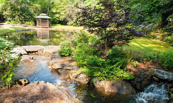 Sapphire Cabin | Private waterfalls, stream, pond Lake Toxaway Gorges State Park