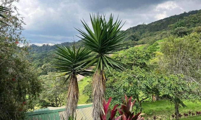 Oriental Hotel | Proyecto Nirodha Orosi