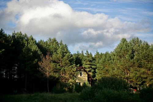 Brusy House | Przytulny dom w sosnowym lesie nad rzeką i jeziorem