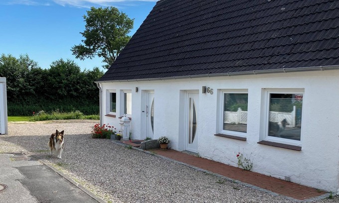 Sieseby House | Pure nature vacation, with and without a dog in Kappeln on the beautiful Schlei