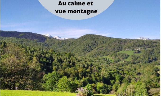 Lies House | Pyrenees-Cottage "La Grange de la Hulotte" (4/5pers) and Meditation Workshop.