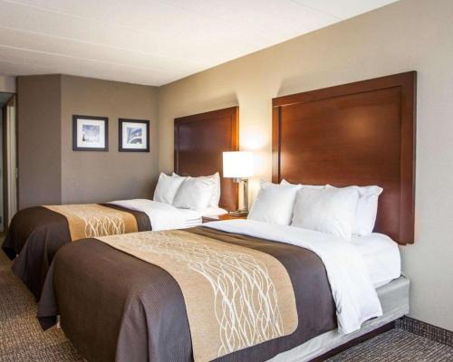 Orland Hills Hotel | Quality Inn & Suites Orland Park - Chicago