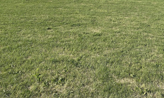 Franksville House | Quiet Country Living on 15 Acres ~ Self Enter and Checkout!