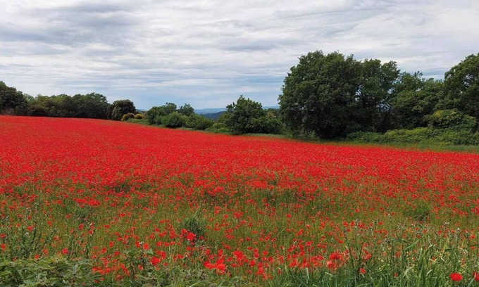 La Garde-Adhemar Condo | Quiet stone house in the heart of one of France's "most beautiful villages".