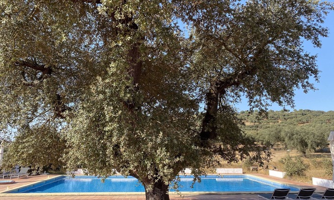 Vaiamonte House | Quinta dos Amarelos