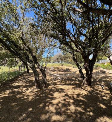 Serra-di-Ferro Apartment | Résidence Casa Cintrone