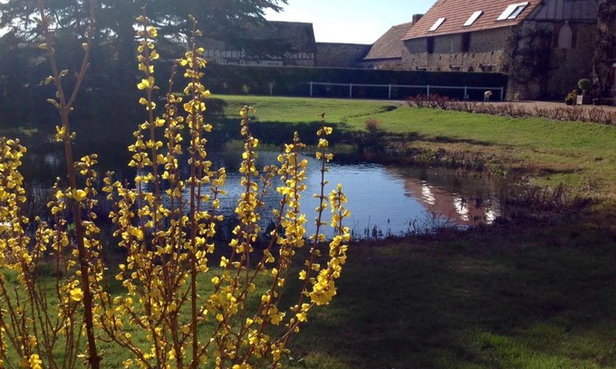 Gauciel House | Résidences Le Clos du Manoir - Self Cooking