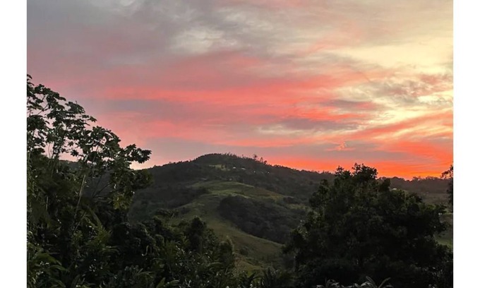 Guzman Arriba Apartment | Rainforest Retreat between mountains and sea