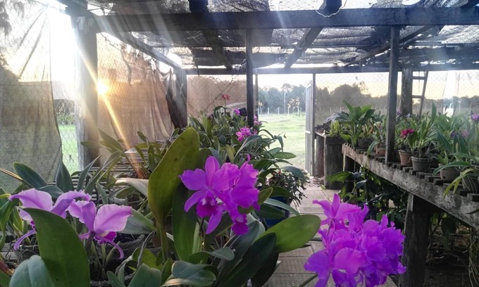 Arroyos y Esteros House | Rancho Seibert