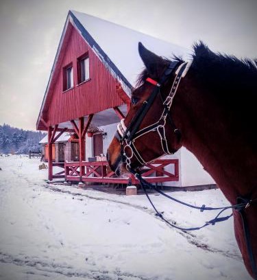 Szczytna House | Ranczo Ignacowo