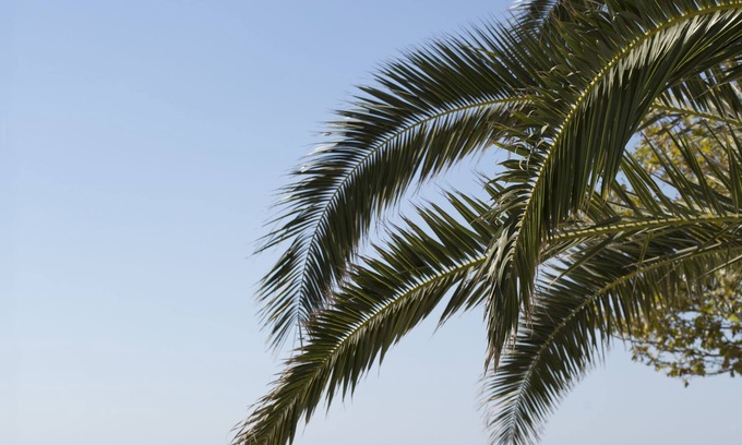 Edremit Hotel | Rawda Resort Hotel Altinoluk