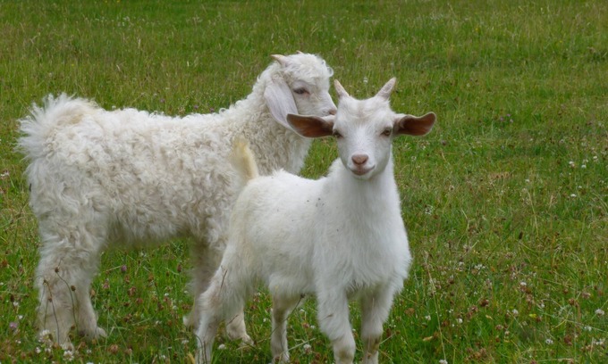 Giat Cottage | Refuge with 4 places for farmers