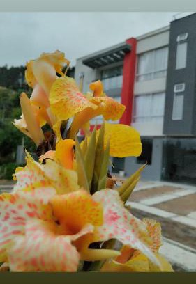 Duitama Apartment | Refugio Flores de María