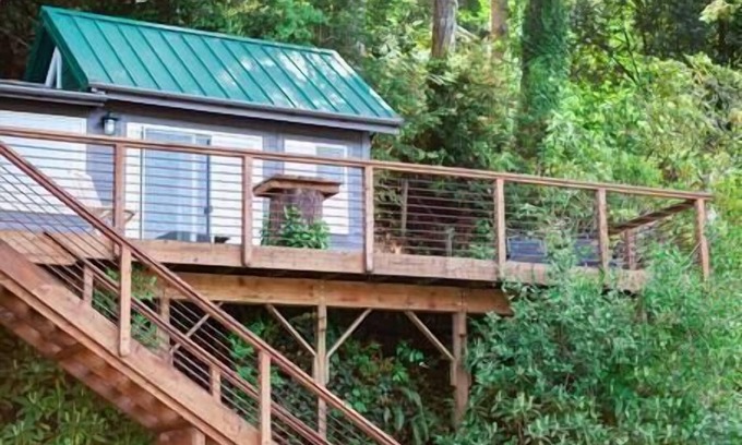 Lakeside Cabin | Remote 1 BR Lakefront Cabin. Features a King loft bed with lake views, private dock, and provided paddleboards/kayaks. Perfect for fishing, stargazing, and quiet nature escapes.