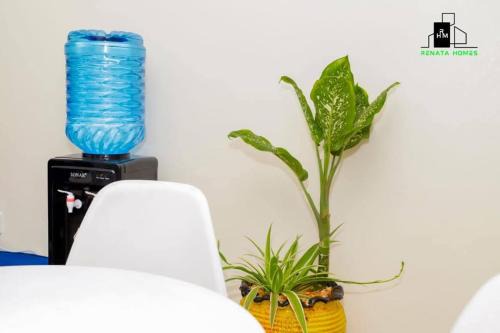 Central Province Apartment | Renata Executive Homes