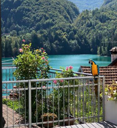 Barcis Apartment | Residence Belvedere