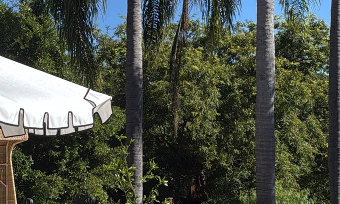 Covenant Resort | Resort with tennis, volleyball and soccer court, sauna and much fun areas