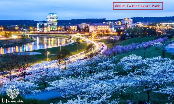 Business District Apartment | River to the City - Studio 7B apartment