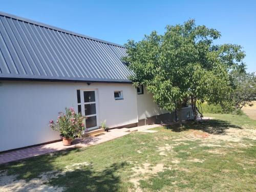 Balatonendred Apartment | Rizling apartman Balatonendréd