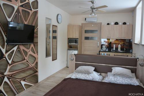 Rabka Apartment | Rochatka