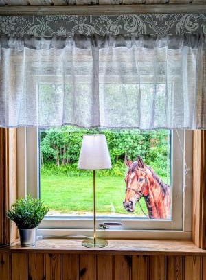 Dalskog House | Rolig häst, Kaneeling Stugby AB