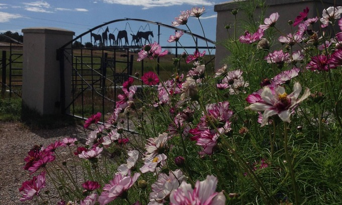 Ignacio Cottage | Romantic get away located on a working farm just 20 minutes from Durango.