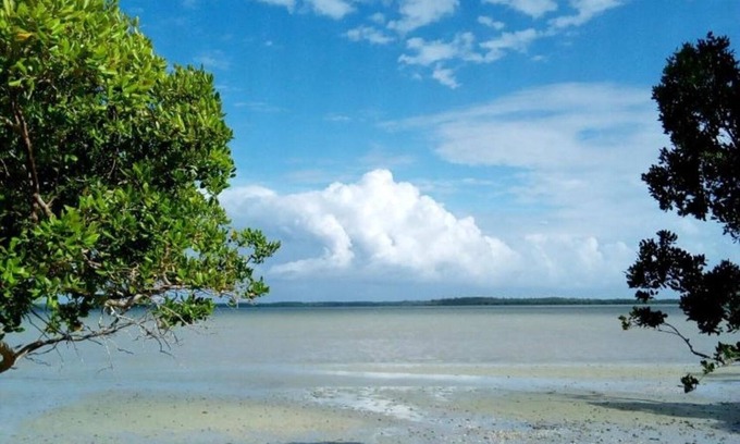 Gede House | Room in B&B - Mida Creek Eco Camp - Relax in Cosy Cottage