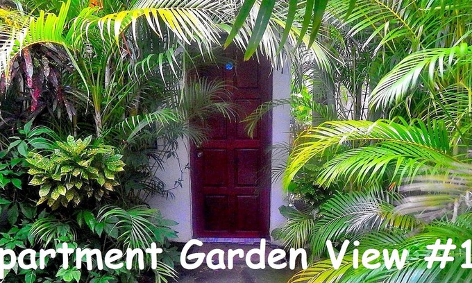 San Juan del Sur Hotel | Rositas Hotel