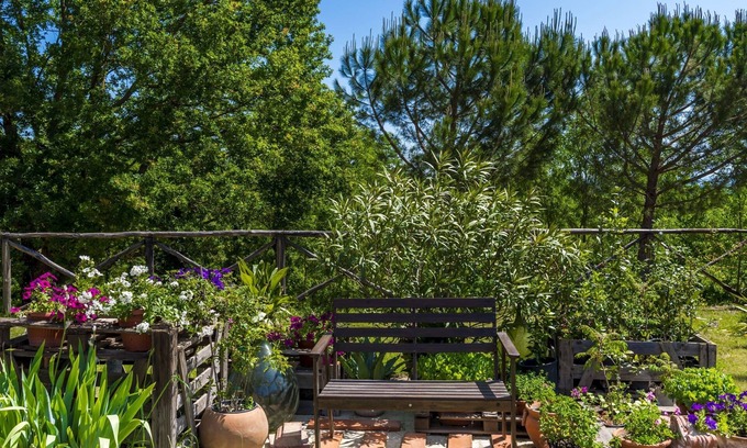 Laterina Apartment | Rustic apartment for 4 people in the heart of the Tuscan countryside, garden with olive trees and sw