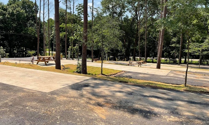 Mount Vernon Cabin | Rustic Fishing Retreat 1 Bed/1 ADA Bath