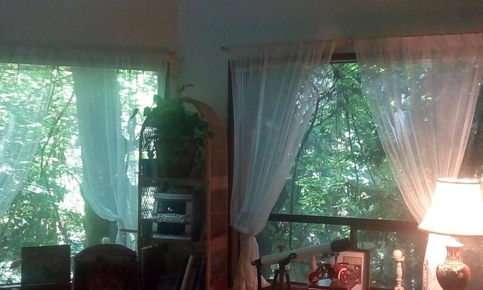 Inglewood-Finn Hill House | RUSTIC TREEHOUSE HOUSE CLOSE TO SEATTLE, WA