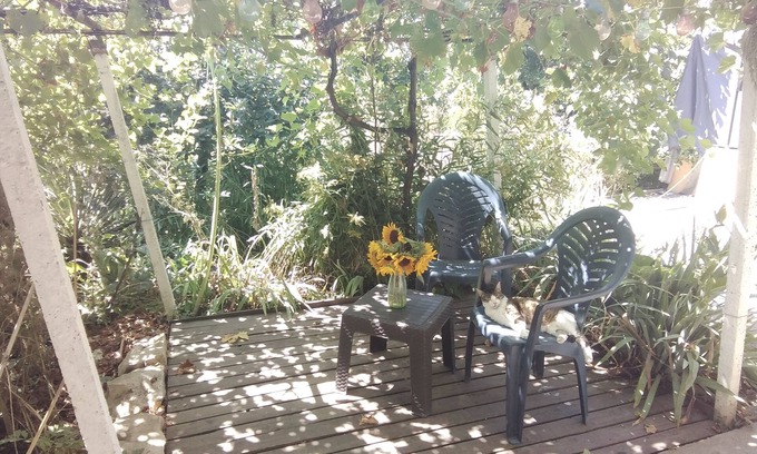 Polski Trambesh House | Rustic village retreat in rural Bulgaria. With cats, dog and chickens 😊