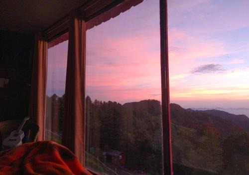 Kanatal Resort | Sadhoo Vibes Resort