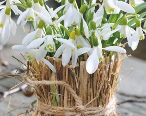 Soymy House | Sadyba Domashniy zatyshok