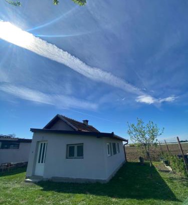 Novi Sad House | Salaš na dan, Futog