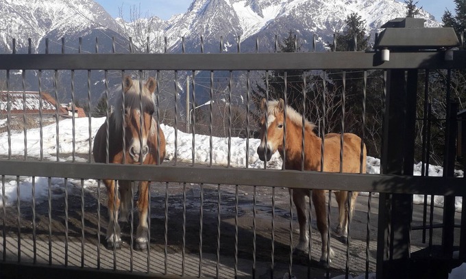 Malonno House | Salvino