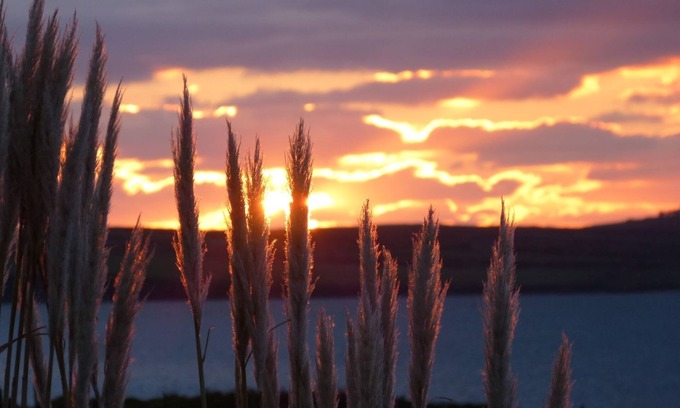 Ventry Apartment | Sanctuary Studio accommodation; quiet, rural, seaside, 3 miles west of Dingle