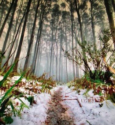 Millgrove House | Sanka Retreat B&B