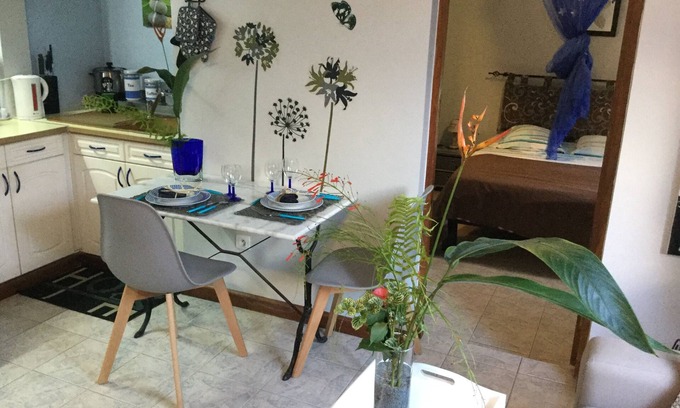 Saint-Joseph Apartment | Saphir et sa Piscine à Débordement 3D Avec Bar à Punch Intégré