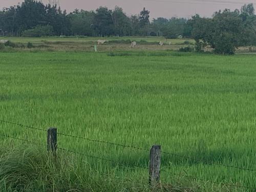 Bugallon Hotel | Scarlett Near Mount Zion