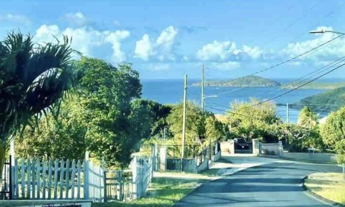 Estate Bordeaux House | Scenic View: A Tropical Experience