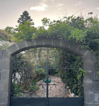 San Vincenzo House | Schicciolina