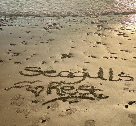 Freshwater House | Seagulls Rest