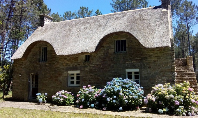 Theix-Noyalo Cottage | Seasonal rental of a Breton cottage in the heart of the forest