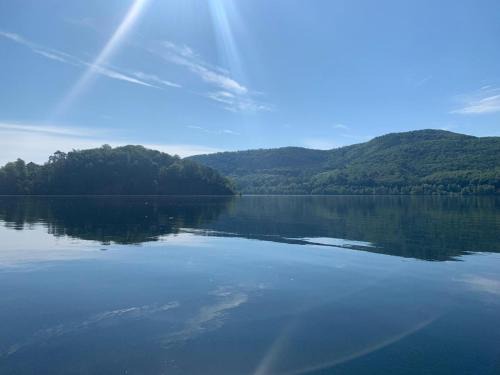 Scheid Apartment | Sehr schöne ufernahe ebenerdige Ferienwohnung Pura Vida auf der Halbinsel Scheid