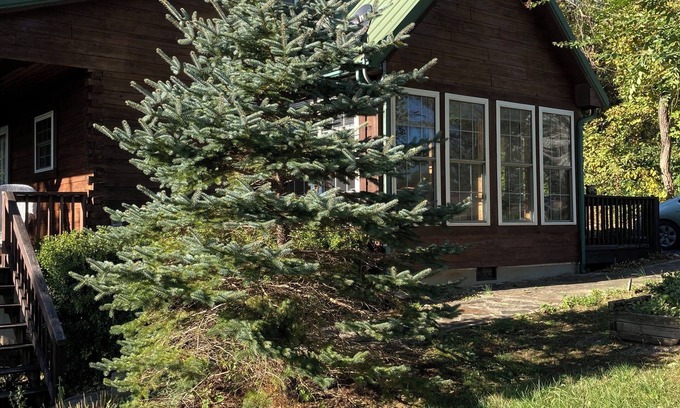 Cana House | Serene home with scenic view near the Blue Ridge Parkway