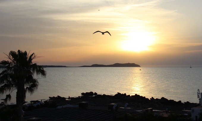 San Antonio Bay Apartment | Ses Fontanelles apartments with frontal views of the sea and the sunset