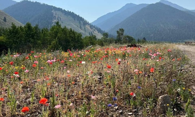 Cameron Cabin | Sheep Creek Ranch Wild Horse Luxury Glamping Tipi